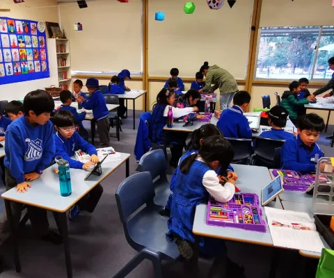 School Incursions gallery